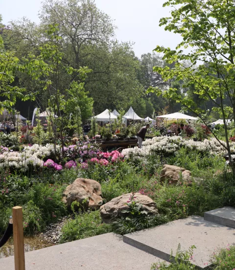 Tuin Beervelde