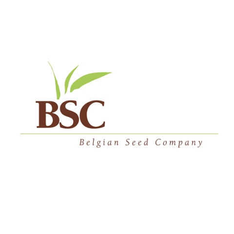 BSC