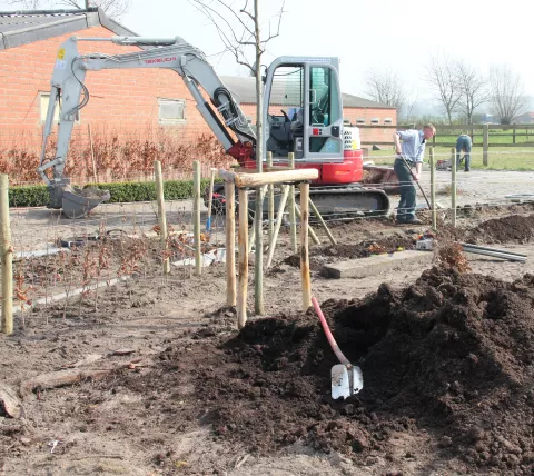 Tuin
