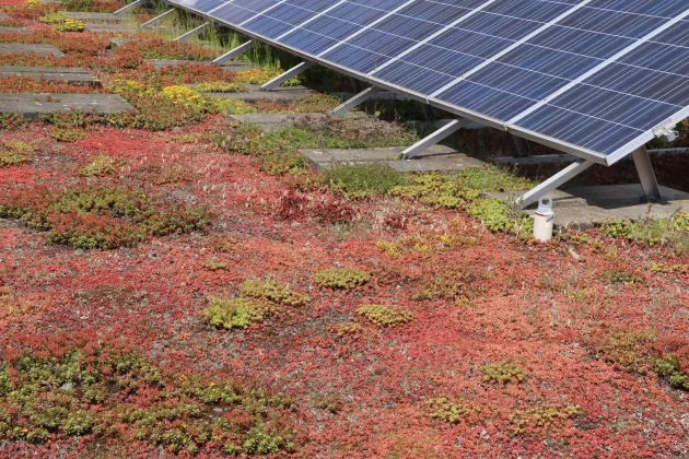 Door de ballast kunnen de zonnepanelen op het dak van het Centrum voor Biotechnologie en Milieu niet verschuiven of wegwaaien bij sterke wind.
