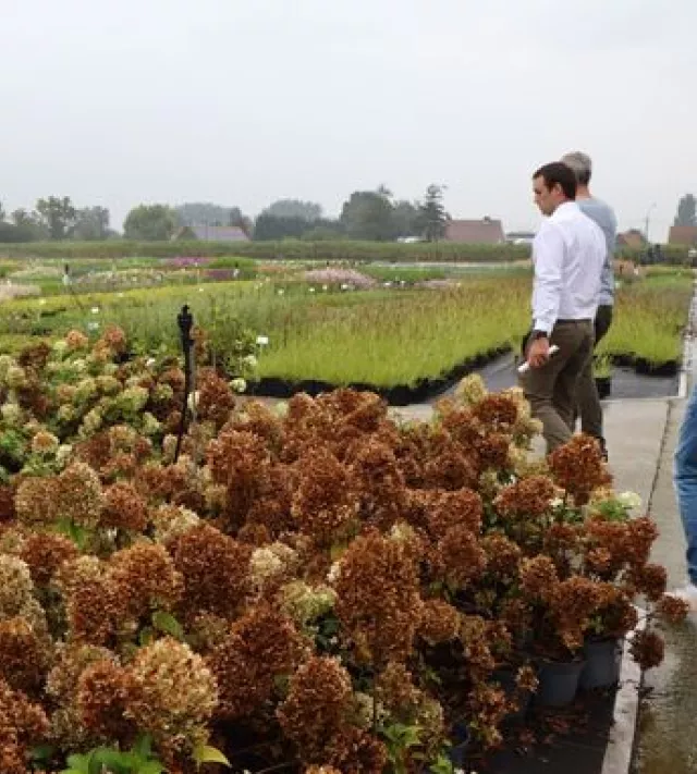 Kwekerij de Boever