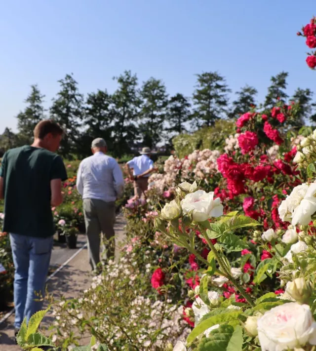 Lerend netwerk Green Deal Natuurlijke Tuinen